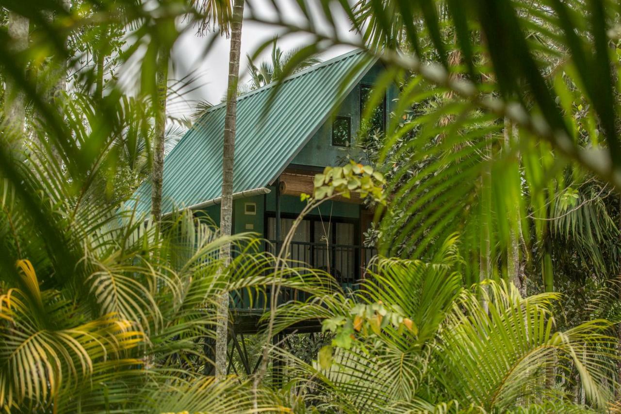 Kedara Village Sultan Bathery Esterno foto